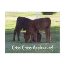 Criss-Cross Applesauce! Calves Postcard