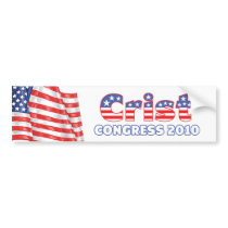 Crist Patriotic American Flag 2010 Elections Bumper Stickers