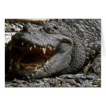 Croc Greeting Card