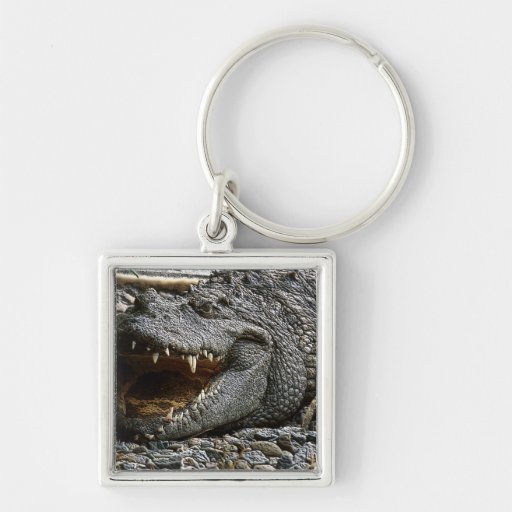 Croc Keychain