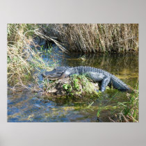 Croc Print