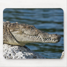 Crocodile, Biscayne National Park, Florida Mousepad