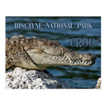 Crocodile, Biscayne National Park, Florida Post Cards
