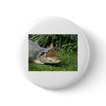 Crocodile Pinback Buttons