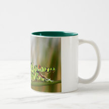 Crocodile Caterpillar Mugs