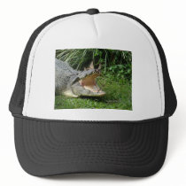 Crocodile Hat