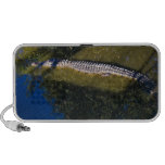 Crocodile in a Breeding Farm (2) Portable Speakers