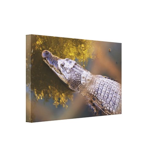 Crocodile in a Breeding Farm Canvas Print