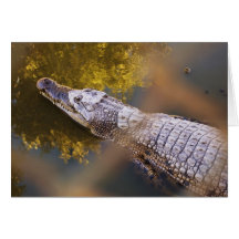 Crocodile in a Breeding Farm Greeting Card