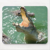 Crocodile mousepads