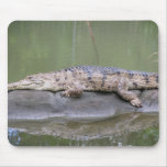 Crocodile Mousepad