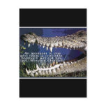 CROCODILE QUOTE - WINSTON CHURCHILL APPEASER POSTCARDS