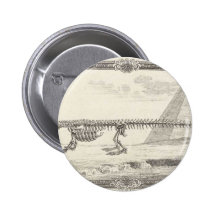 Crocodile Skeleton Illustration Pins