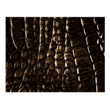 Crocodile Skin Postcard