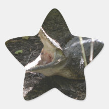 crocodile with open mouth stickers