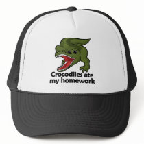 Crocodiles ate my homework