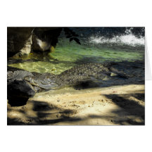 Crocodiles Cards