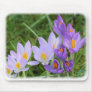 Crocus 8P031D-14 Mouse Pad