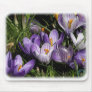 Crocus 8P076D-07 Mouse Mat