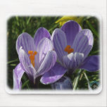 Crocus 8P076D-11 Mouse Pad