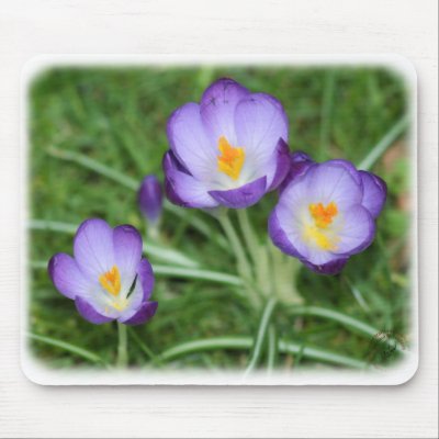Crocus 8P32D-13 Mouse Mat by TraffordPhotos