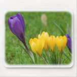 Crocus 8P32D-21 Mouse Pad