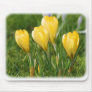 Crocus 8P33D-15 Mouse Pad