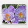 Crocus 8P76D-20 Mousepad