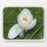 Crocus 8P77D-10 Mouse Pad