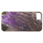 Crocus avec des perles de l'eau coque iPhone 5 Case-Mate
