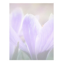 Crocus brumeux de matin en-tête de lettre customisable