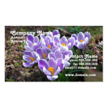 Crocus Business Card