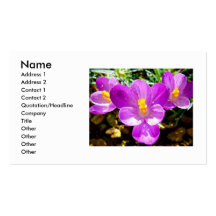 CROCUS BUSINESS CARDS