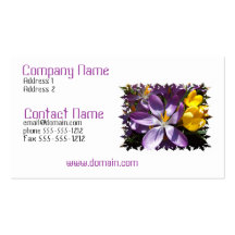 Crocus Colour Business Card