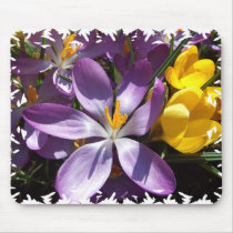 Crocus Colours Mouse Pad