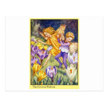 Crocus Fairy Post Card