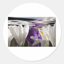 Crocus Floods Round Stickers