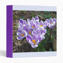 Crocus Flower Binder