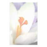 Crocus Flower in Early Spring Stationery Design