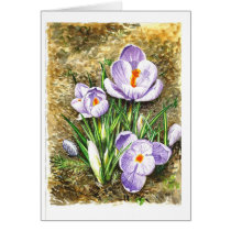 Crocus in Spring Greeting Card