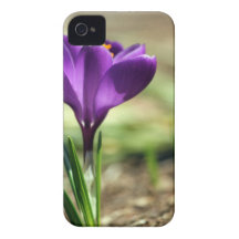 Crocus iPhone 4 Case-Mate Cases