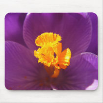 Crocus macro ~ mousepad