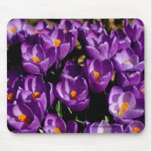 Crocus Mania Mouse Pads