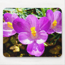 CROCUS MOUSEMAT