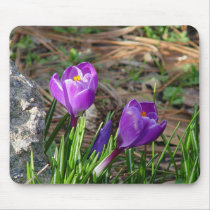 Crocus Mousepad
