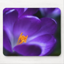 crocus mouse pad