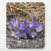 crocus mousepad