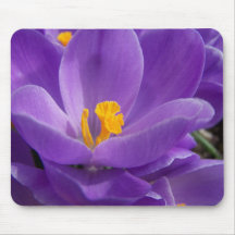 Crocus Mousepad