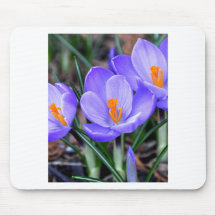 Crocus Mousepads