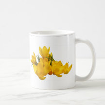CROCUS-MUG